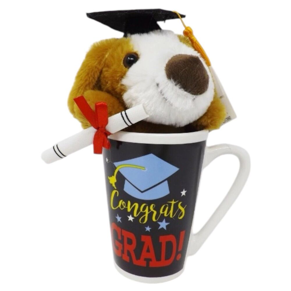 Dandee Sweet Thoughts Plush in Mug Graduation - Congrats Grad!